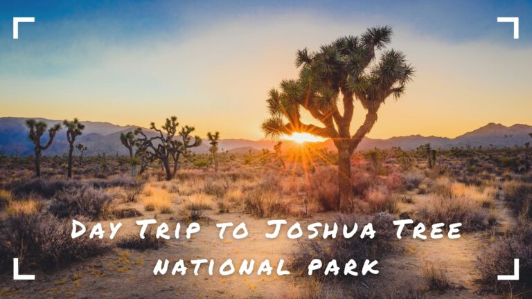How to Plan a Day Trip to Joshua Tree; 7 Beautiful Sights
