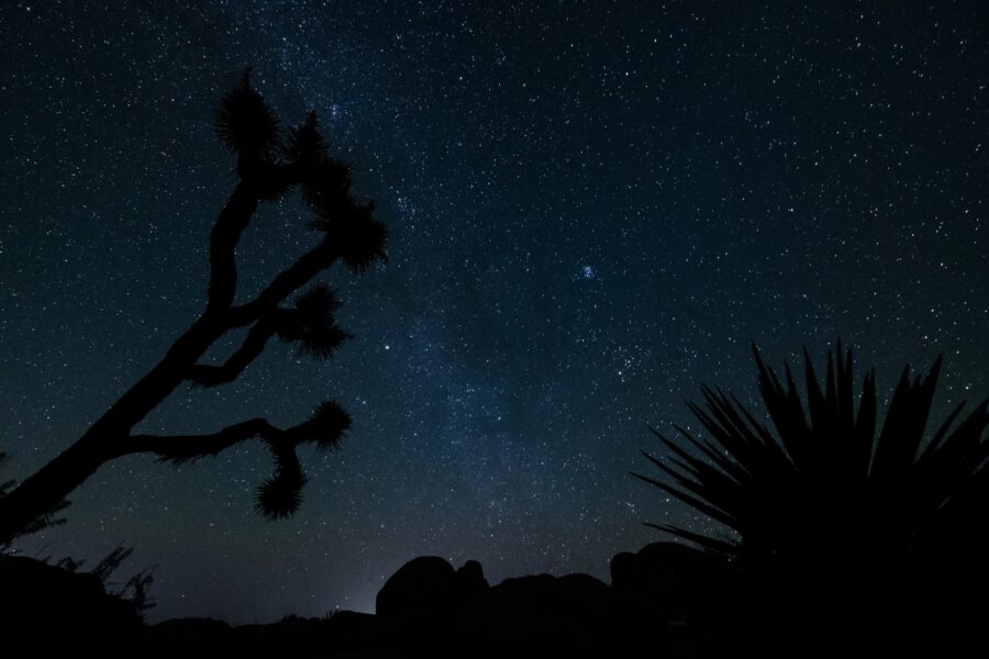 How to Plan a Day Trip to Joshua Tree; 7 Beautiful Sights 10 Joshua-Tree-Stars-Silhoute