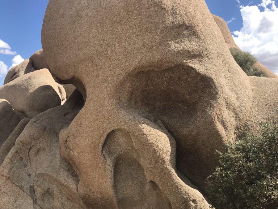 How to Plan a Day Trip to Joshua Tree; 7 Beautiful Sights 5 A Driving Tour of Joshua Tree brings you right to Skull Rock