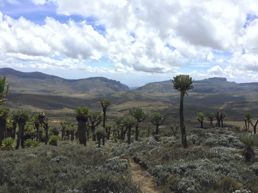 The 5 Best Hiking Trails in Uganda for 2023 3 Hiking near Mount Elgon Uganda