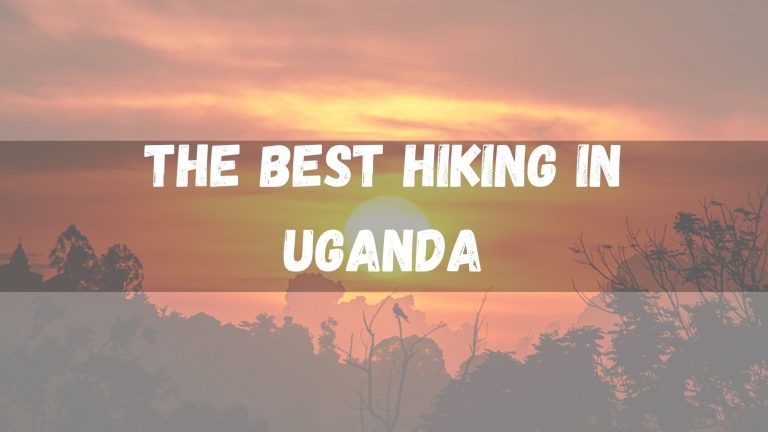 The 5 Best Hiking Trails in Uganda for 2023
