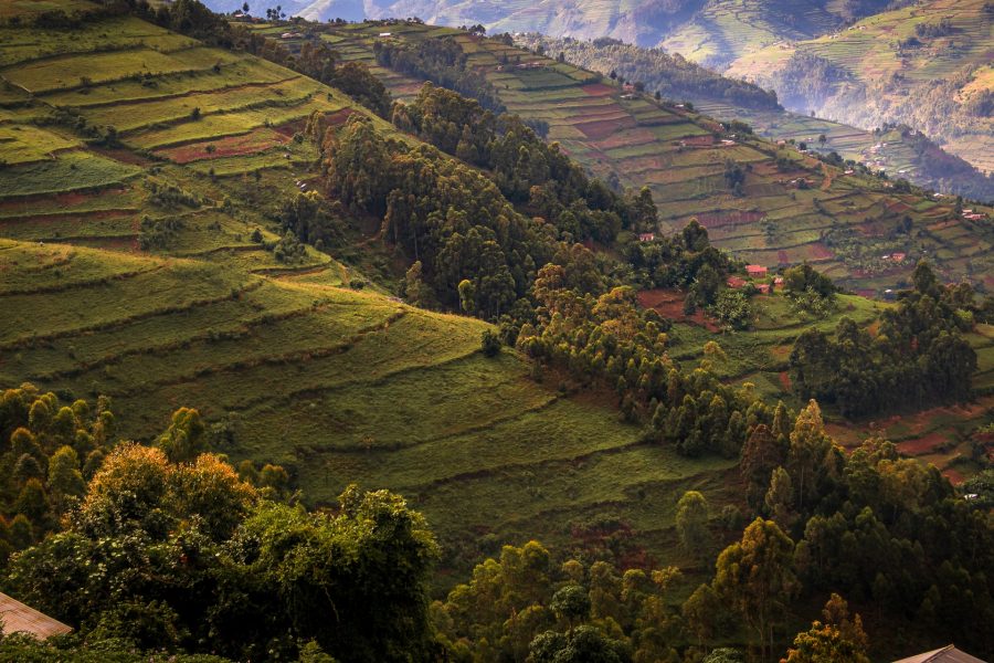 The 5 Best Hiking Trails in Uganda for 2023 6 The Best Hiking in Uganda Regions