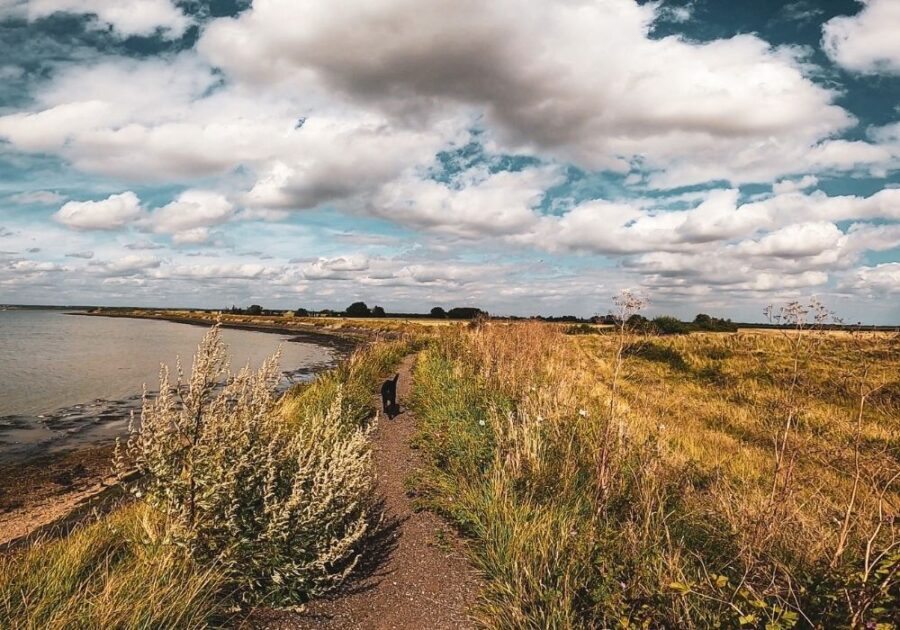 Best Hiking in the UK Essex Coastal Trail